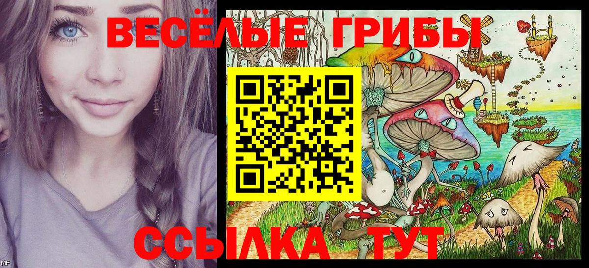 Псилоцибиновые грибы прущие грибы  Галлюциногенные грибы MAGIC MUSHROOMS  сколько стоит  Славгород  Вход с VPN 