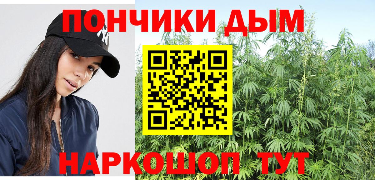 Шишки марихуана ГИДРОПОН  Шишки марихуана Amnesia  Славгород  Вход с VPN  Конопля план 